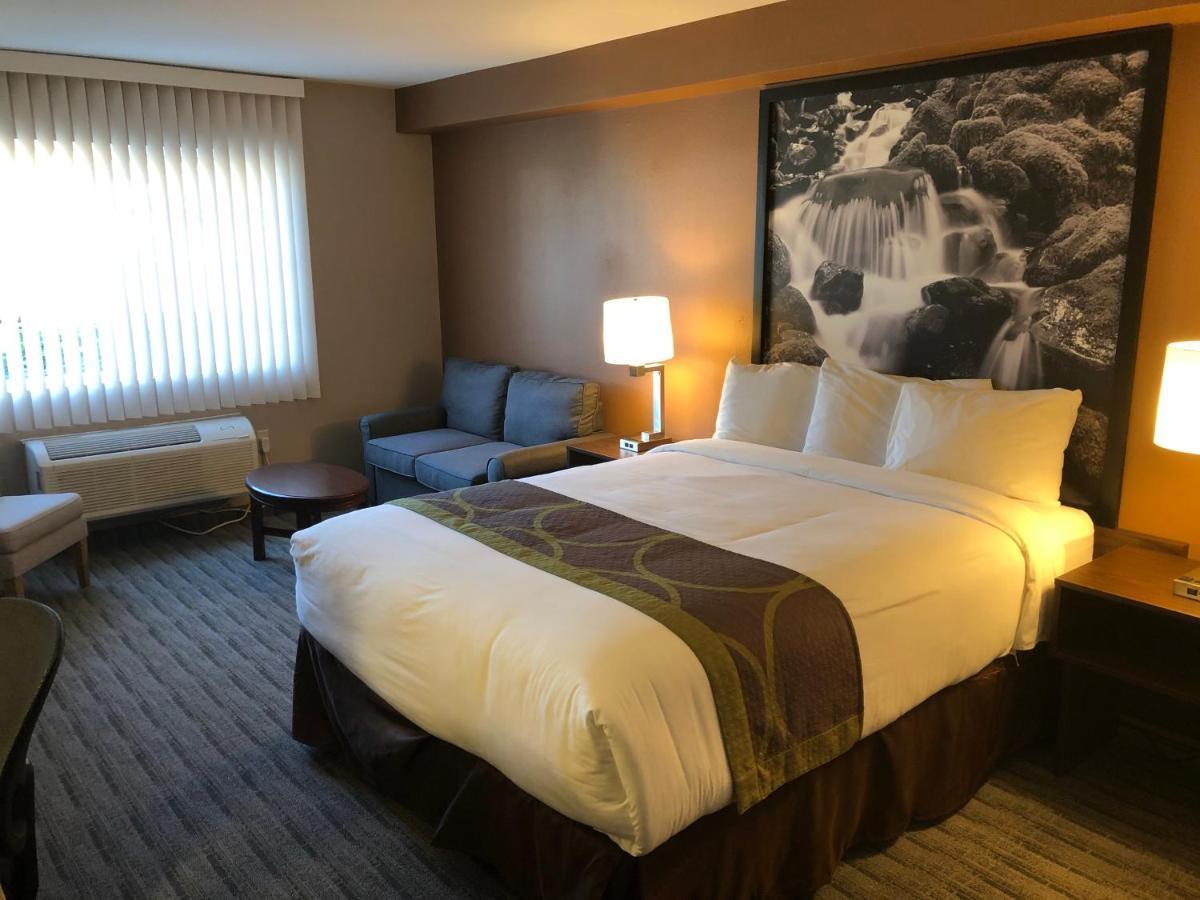 Super 8 By Wyndham Lynnwood Μοτέλ Εξωτερικό φωτογραφία