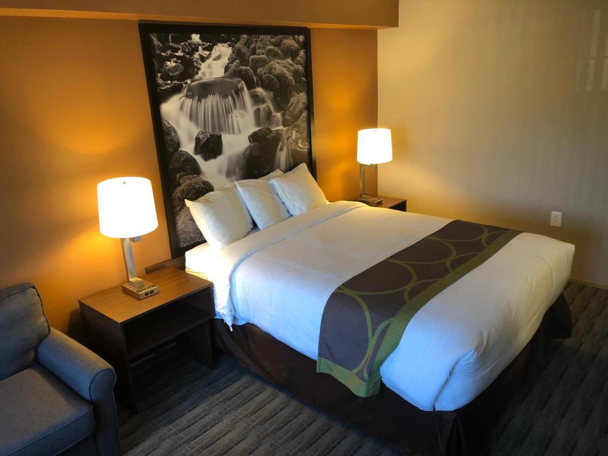 Super 8 By Wyndham Lynnwood Μοτέλ Εξωτερικό φωτογραφία
